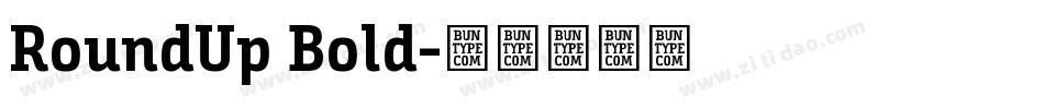 RoundUp Bold字体转换